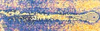 The Seasonal Almanac: Awaiting the Arrival of Comet Hale-Bopp